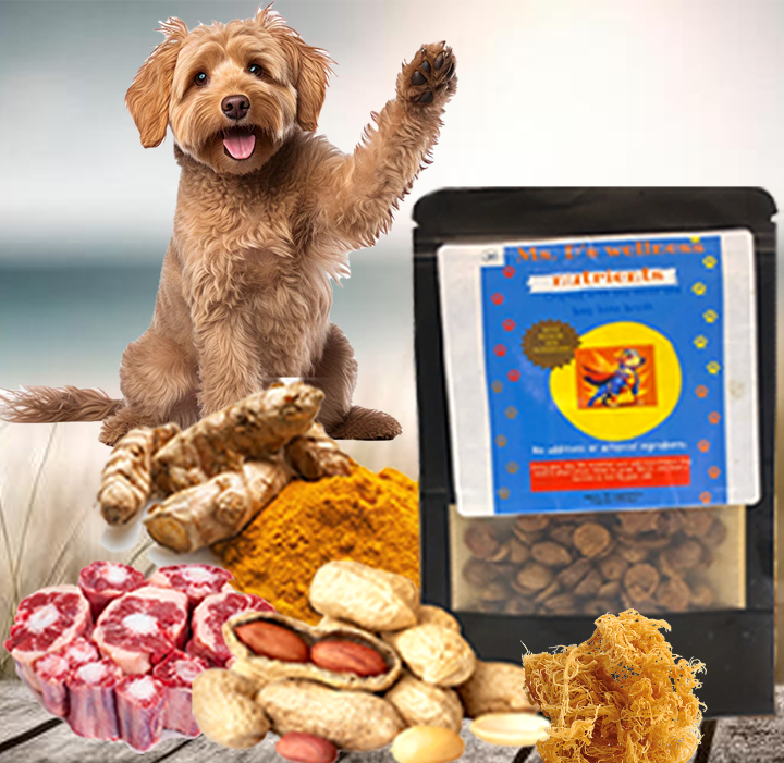 Sea Moss Bone Broth Dog Nutrients